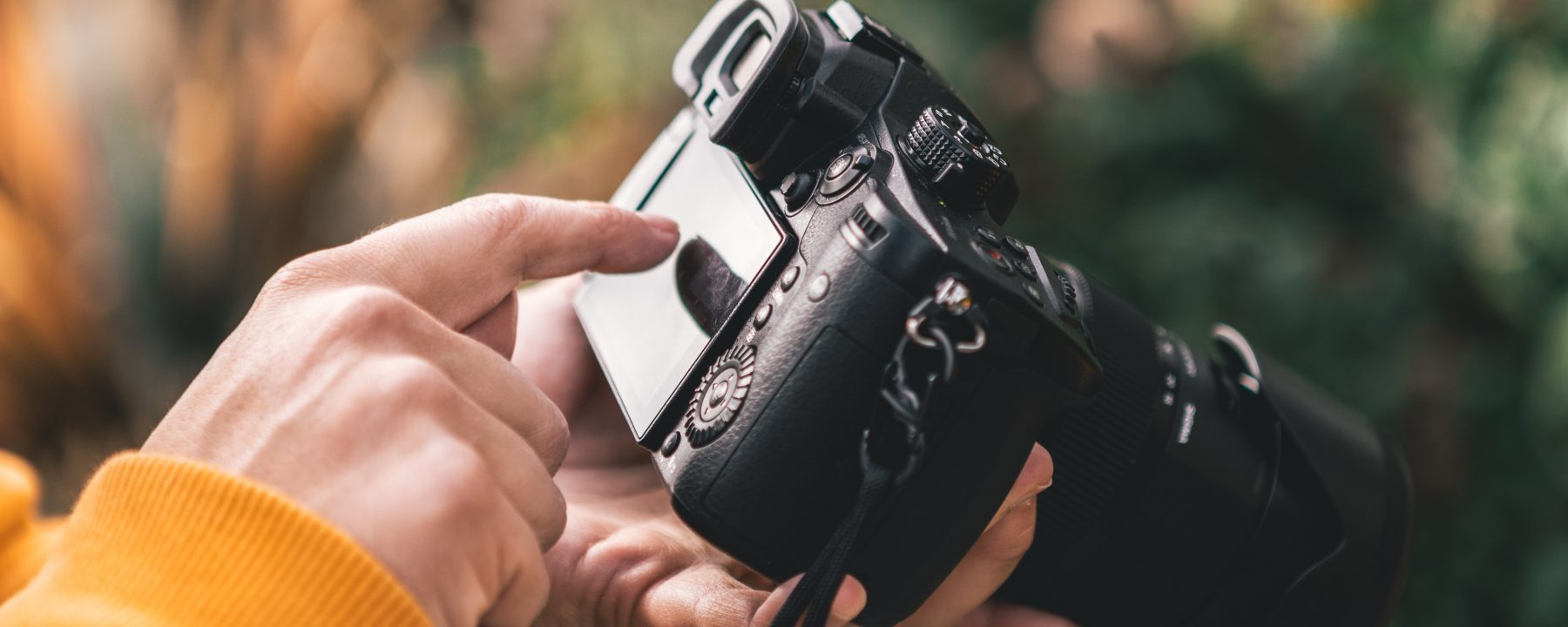 intern wild interest and skills in photography